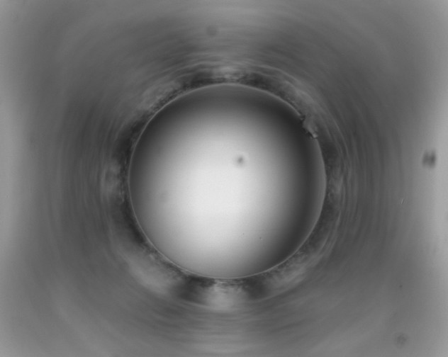 X0000091920270200709051447