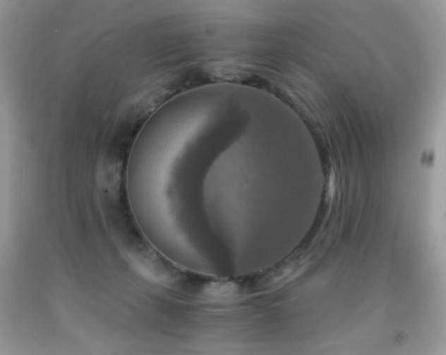 X0000091920271200709051447