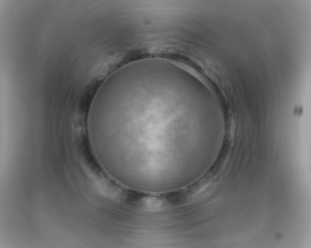 X0000091920272200709051447