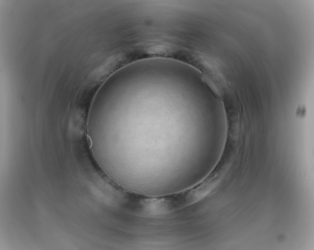 X0000091920273200709051447