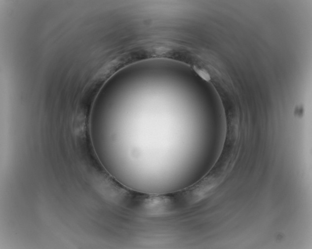 X0000091920274200709051447