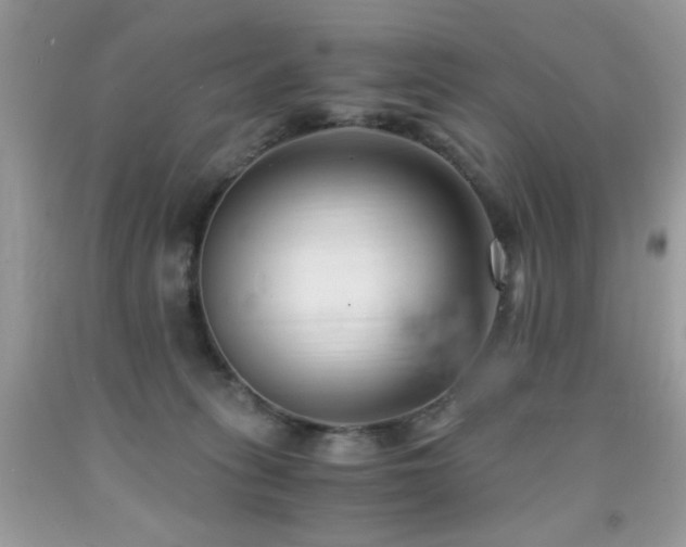 X0000091920275200709051447