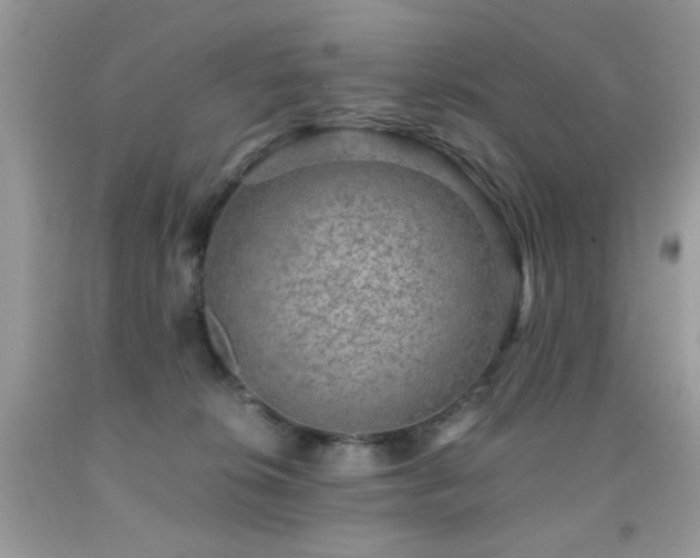 X0000091920276200709051447