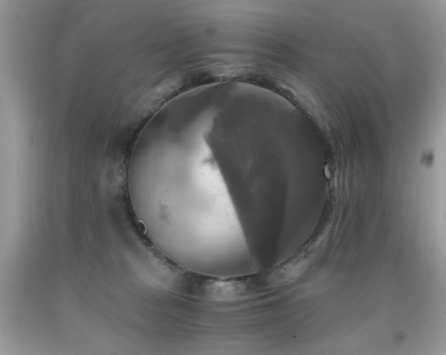 X0000091920277200709051447
