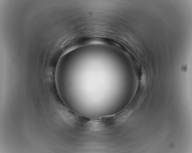 X0000091920280200709051447