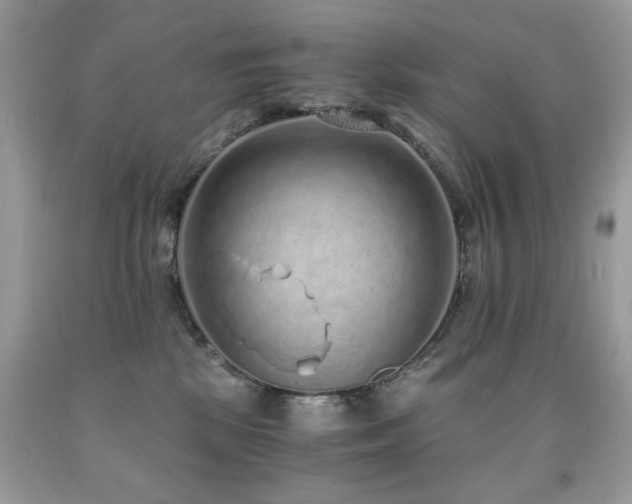 X0000091920281200709051447