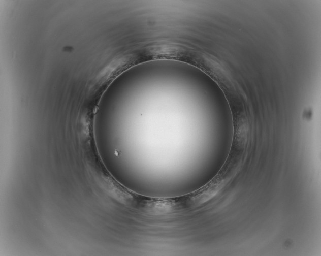 X0000091920282200709051447