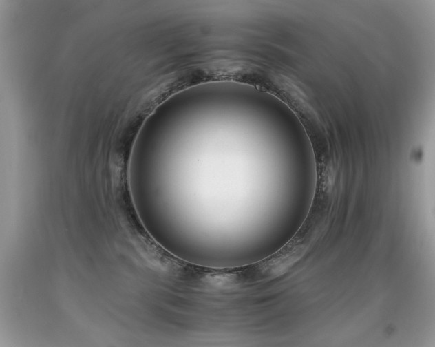 X0000091920283200709051447