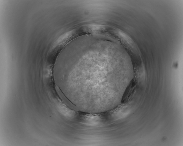 X0000091920284200709051447