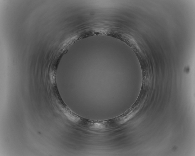 X0000091920285200709051447