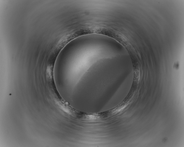 X0000091920286200709051447