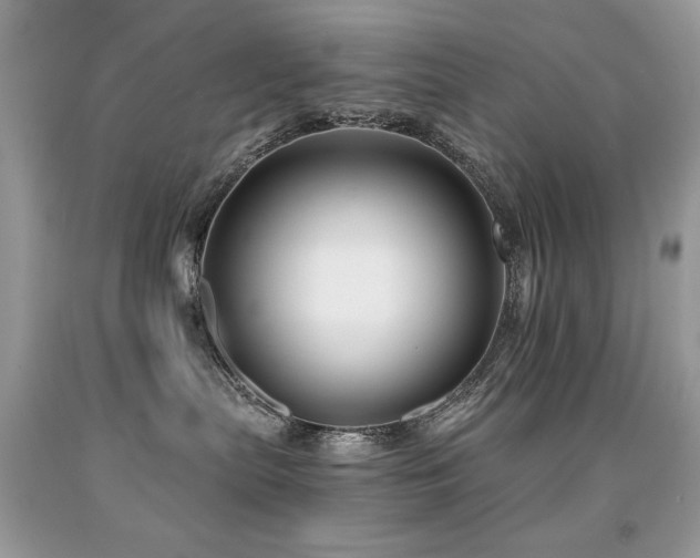 X0000091920287200709051447