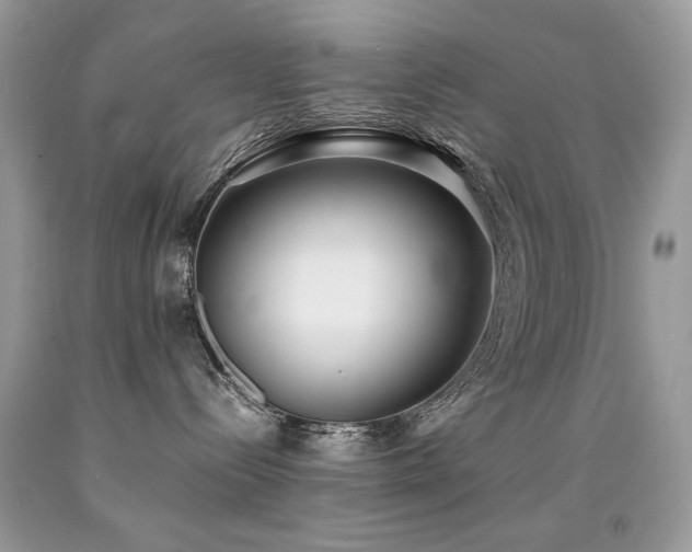 X0000091920288200709051447