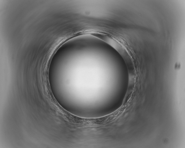 X0000091920289200709051446