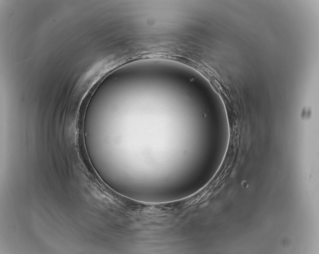 X0000091920290200709051446