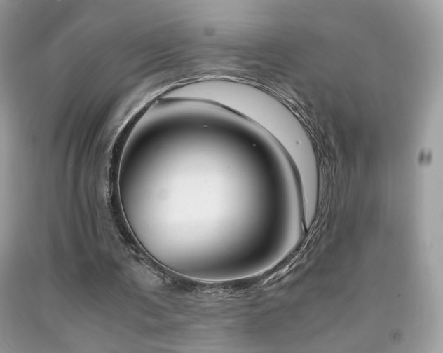 X0000091920291200709051446