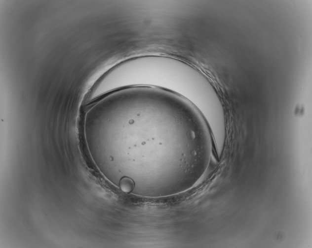 X0000091920292200709051446