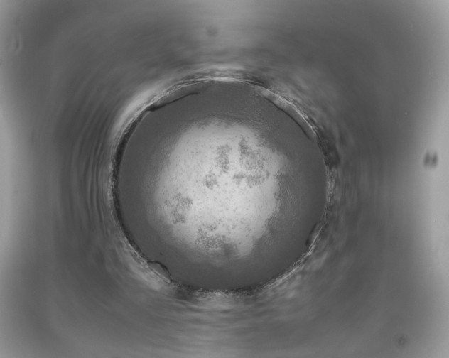 X0000091920293200709051446