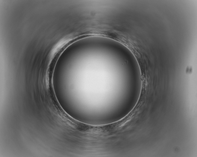 X0000091920294200709051446