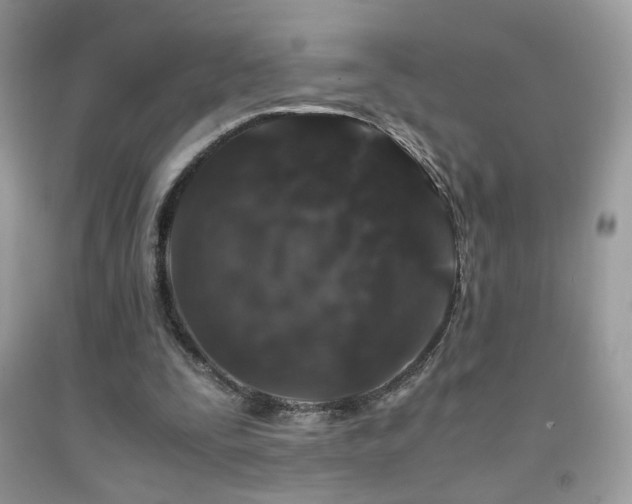 X0000091920295200709051446
