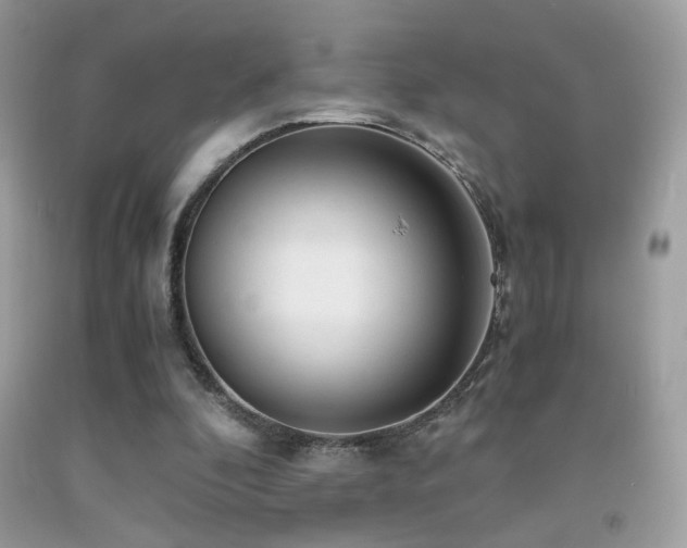 X0000091920296200709051446