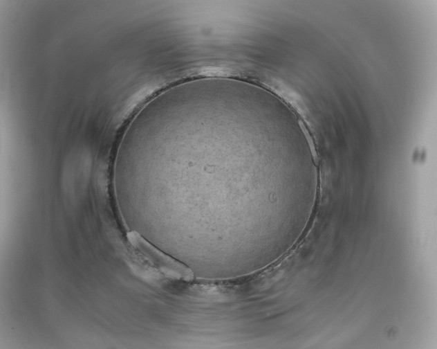 X0000091920297200709051446