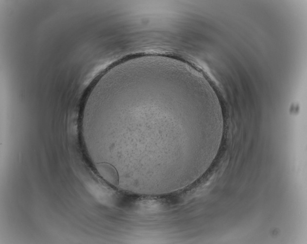 X0000091920299200709051446