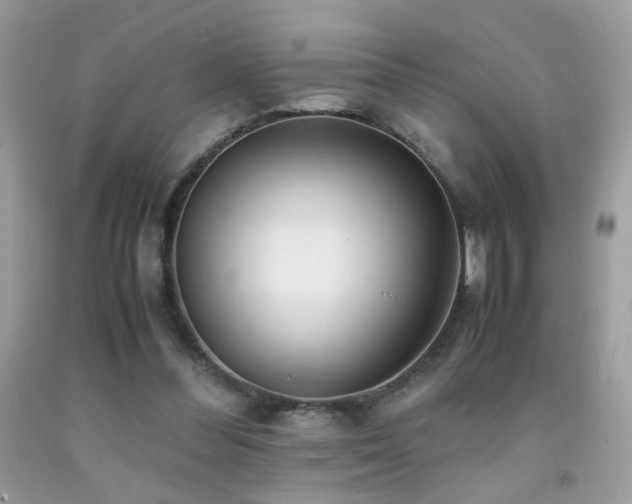 X0000091920300200709051446