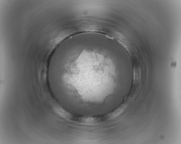 X0000091920301200709051446