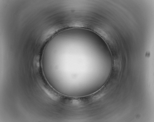 X0000091920302200709051446