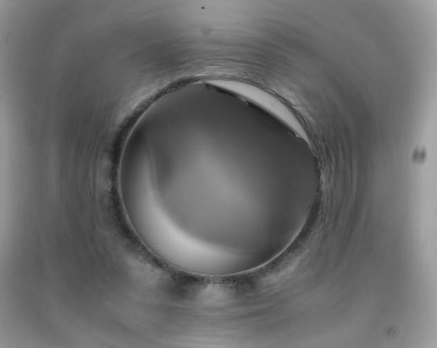 X0000091920303200709051446