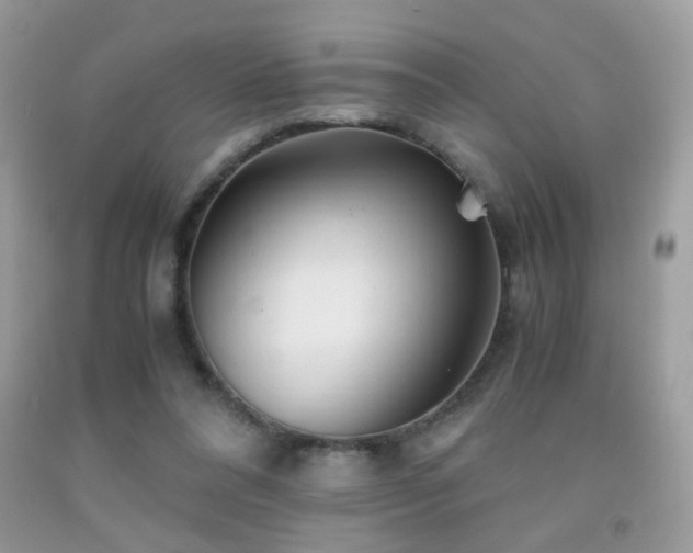 X0000091920304200709051446