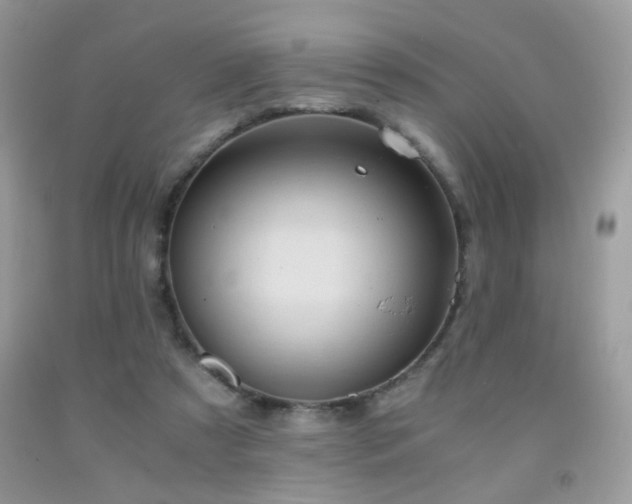 X0000091920305200709051446