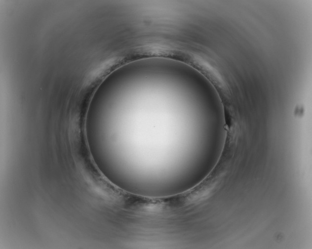 X0000091920306200709051446