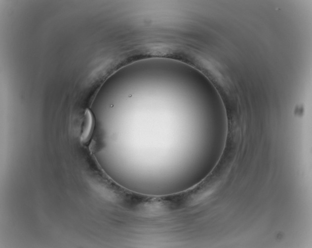X0000091920307200709051446