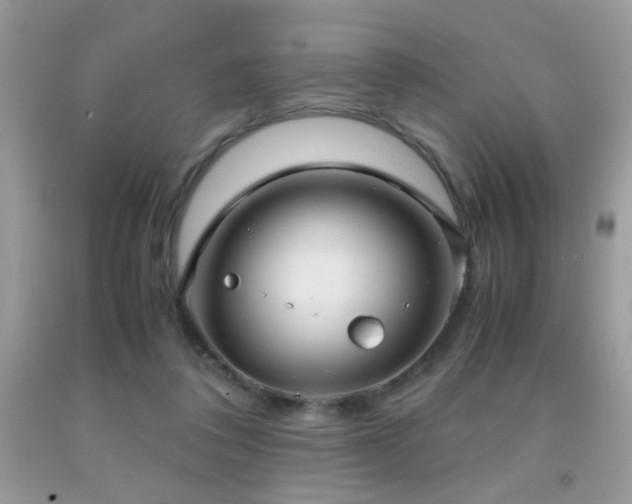X0000091920308200709051446