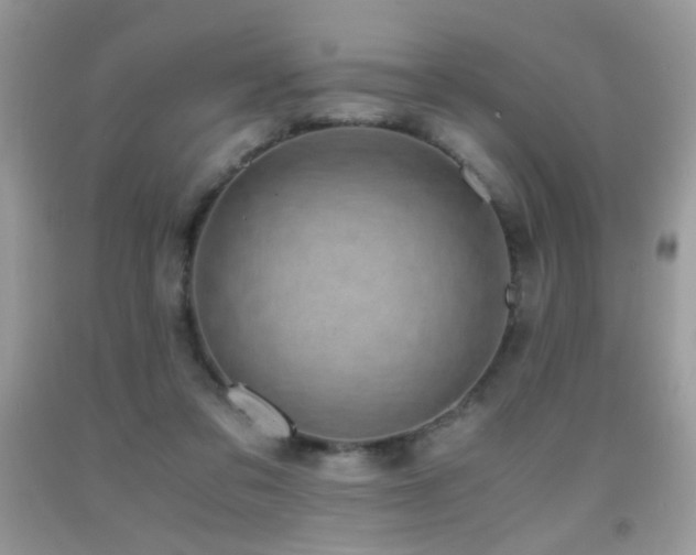X0000091920309200709051446