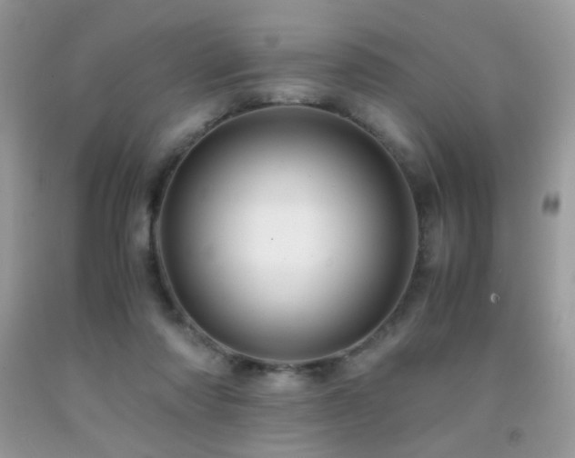 X0000091920310200709051446
