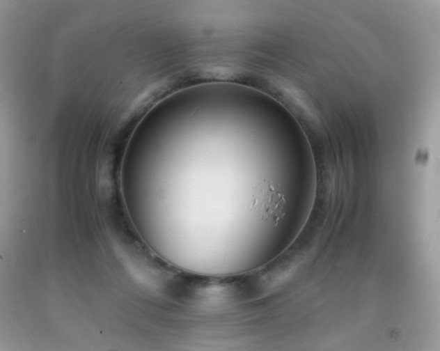 X0000091920312200709051446