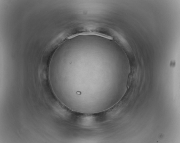 X0000091920313200709051446