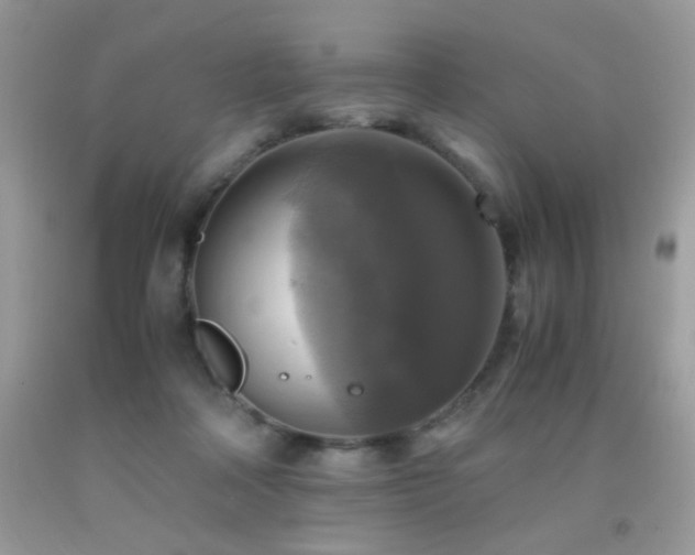 X0000091920314200709051446