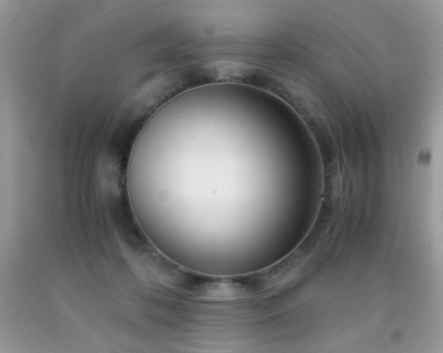 X0000091920316200709051446