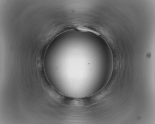 X0000091920317200709051446