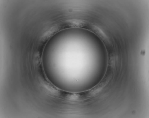 X0000091920318200709051446