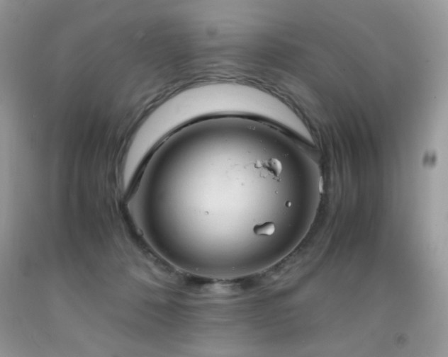 X0000091920320200709051446