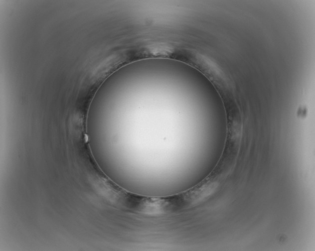 X0000091920321200709051446