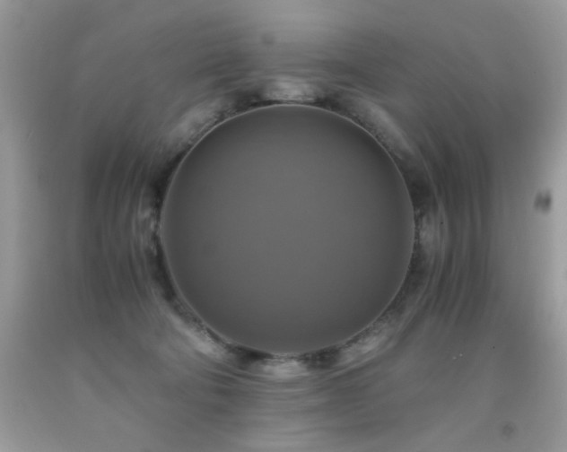 X0000091920322200709051446