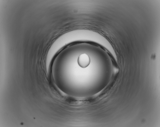 X0000091920323200709051446