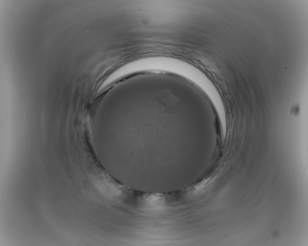 X0000091920325200709051446