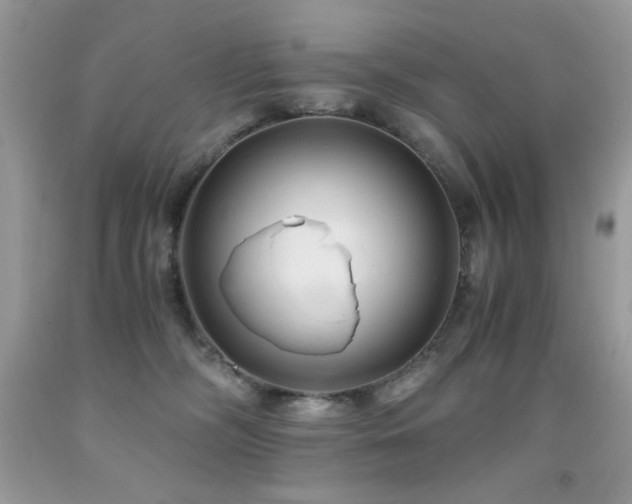 X0000091920326200709051446